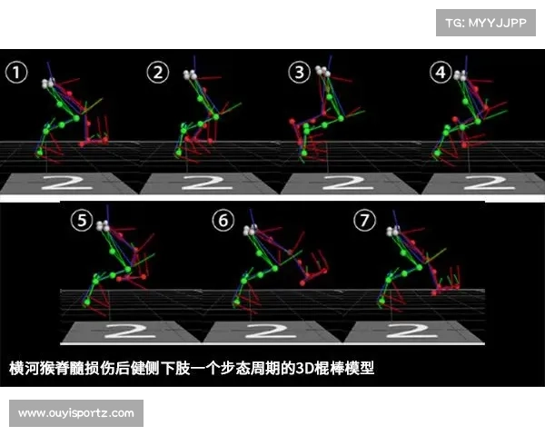 游泳3D动作捕捉系统助力精准分析转身角度与划臂频率提升训练效率